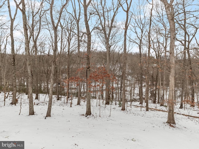 view of snow covered land