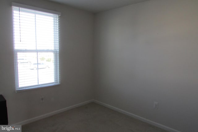 empty room featuring carpet floors