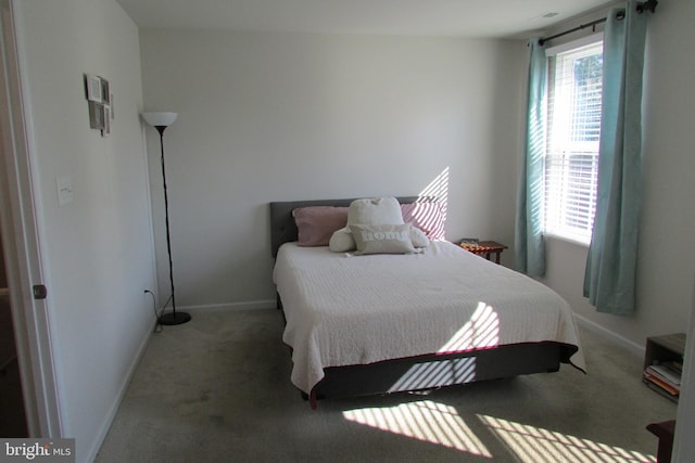 bedroom featuring carpet