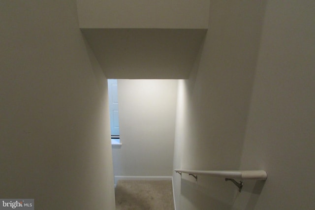 stairway with carpet floors