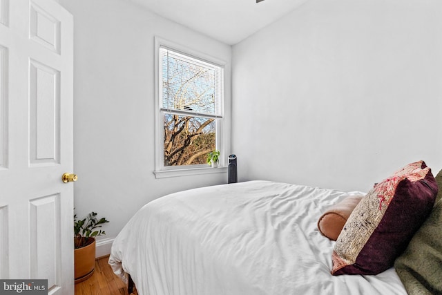 bedroom featuring multiple windows and hardwood / wood-style flooring