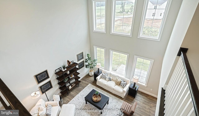 living room with dark hardwood / wood-style flooring and a high ceiling