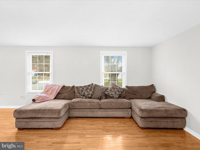 living room featuring light hardwood / wood-style floors and a healthy amount of sunlight