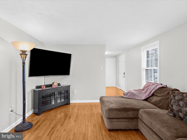 living room with light wood-type flooring