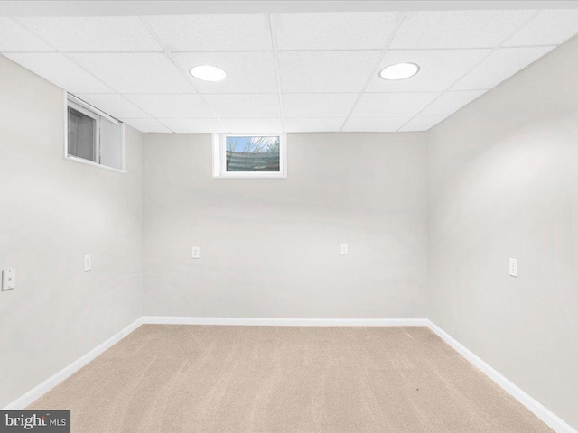 basement featuring a paneled ceiling and light colored carpet