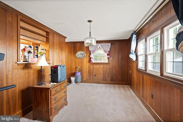 miscellaneous room featuring wood walls, a healthy amount of sunlight, and light carpet