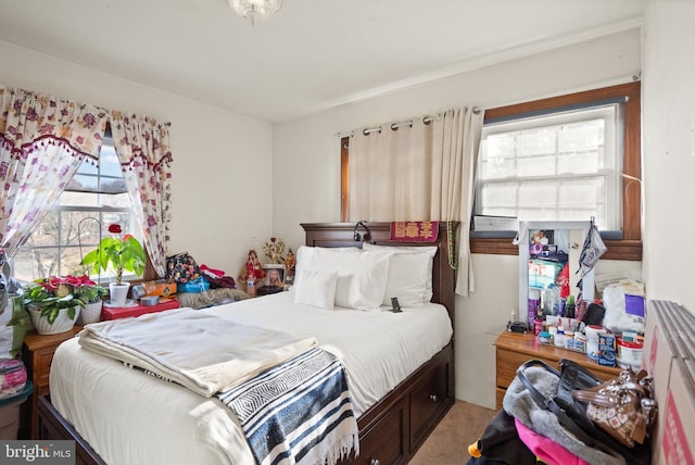 carpeted bedroom with multiple windows