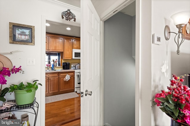 interior space featuring hardwood / wood-style flooring, white appliances, sink, and ornamental molding