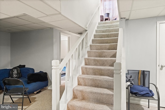 staircase featuring a drop ceiling and carpet floors