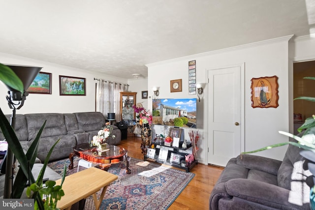 living room with wood-type flooring and ornamental molding