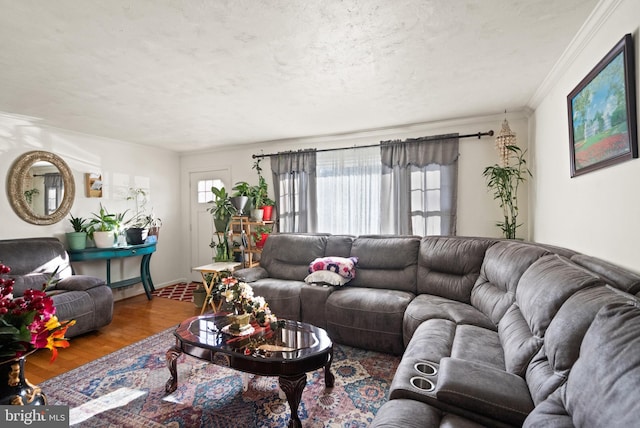 living room with hardwood / wood-style floors, a textured ceiling, and crown molding