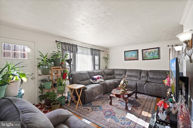 living room with a textured ceiling and crown molding