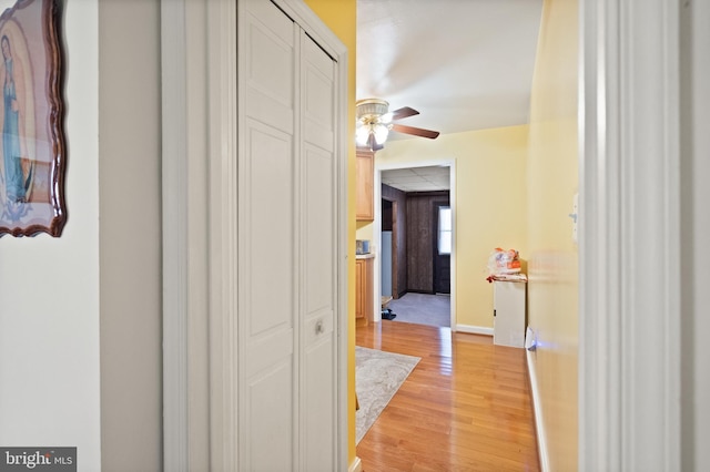 hall featuring light hardwood / wood-style flooring