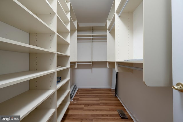 walk in closet with hardwood / wood-style floors