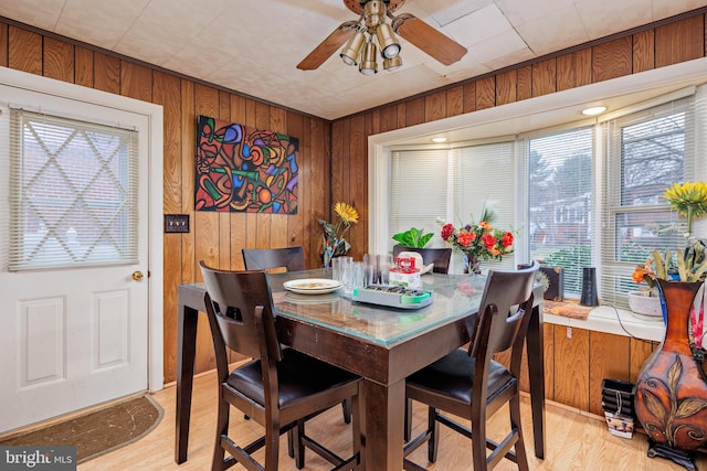 dining area featuring a wealth of natural light, light hardwood / wood-style floors, and wooden walls