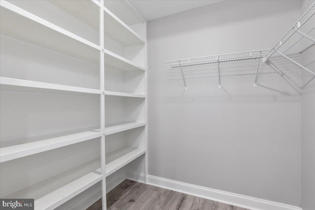 spacious closet featuring wood-type flooring