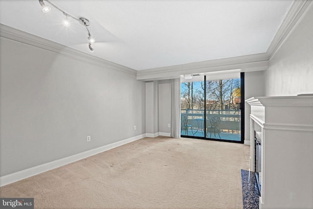 interior space with carpet flooring, rail lighting, and ornamental molding