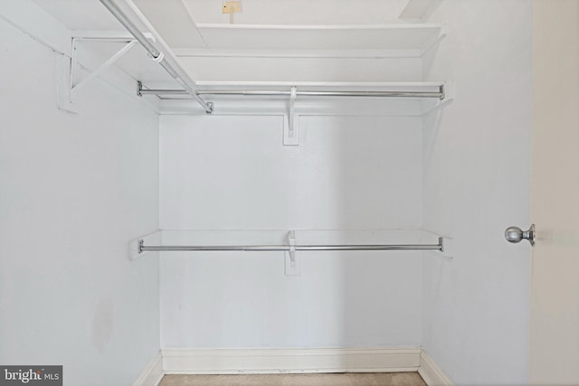 view of walk in closet