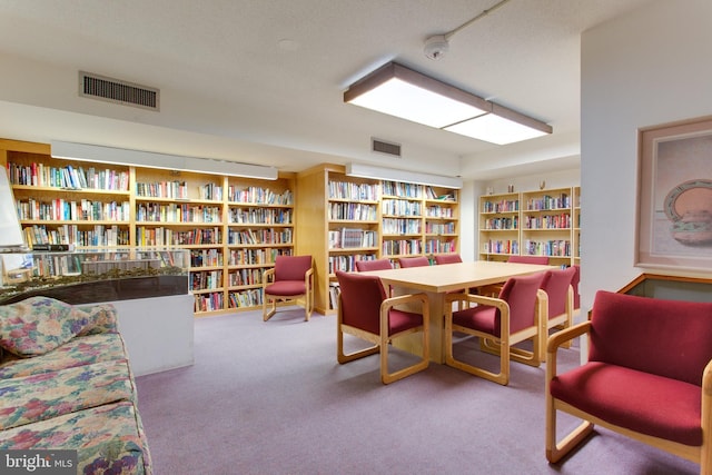 living area with carpet flooring and a textured ceiling