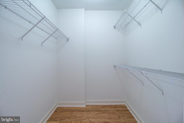 spacious closet featuring hardwood / wood-style flooring