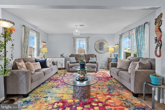 living room featuring hardwood / wood-style floors