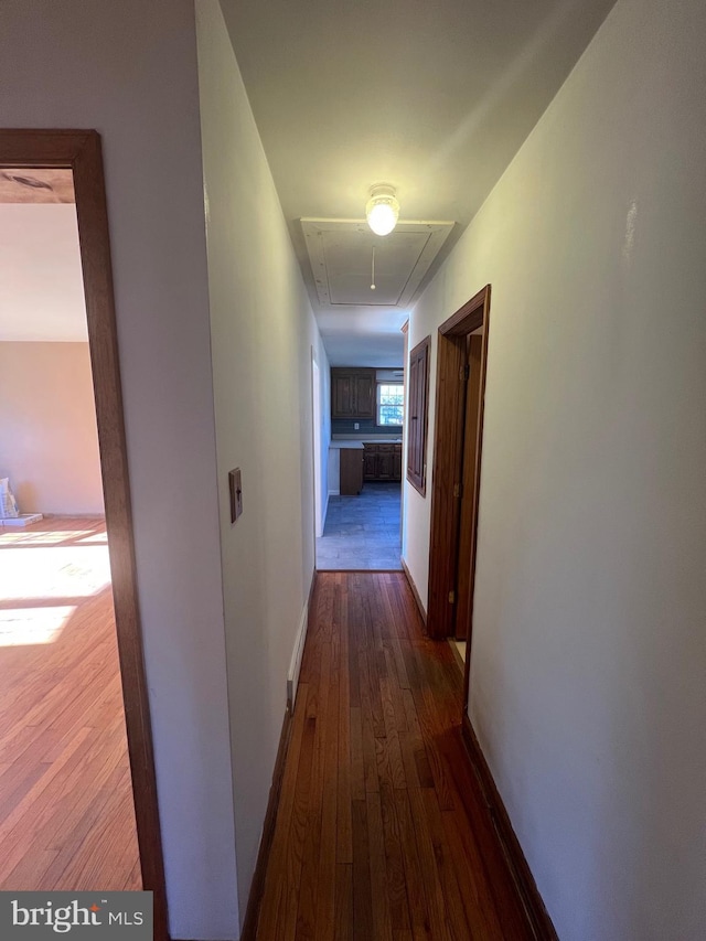 corridor with dark hardwood / wood-style flooring