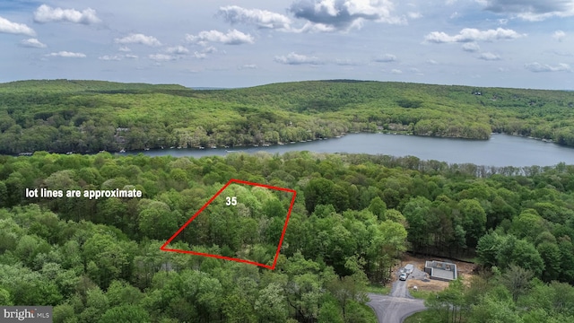 35 Winding Estates Dr, Mc Henry MD, 21541 land for sale