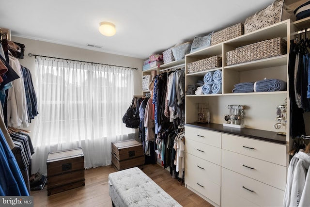 walk in closet with wood-type flooring