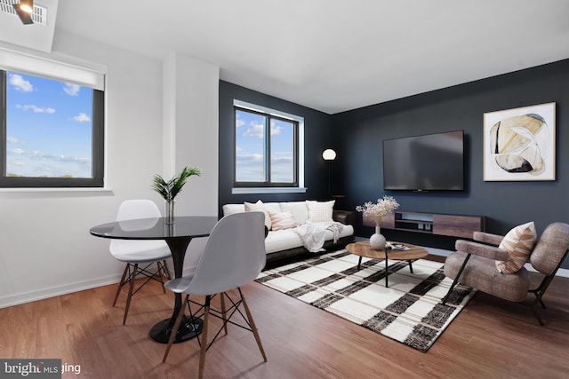 living room with wood-type flooring