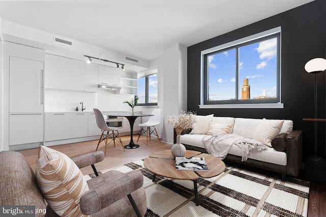 living room featuring light hardwood / wood-style flooring and sink