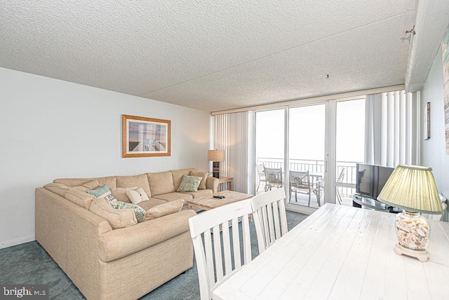 11700 Coastal Hwy Unit T705, Ocean City, MD 21842 - living room featuring a textured ceiling and carpet