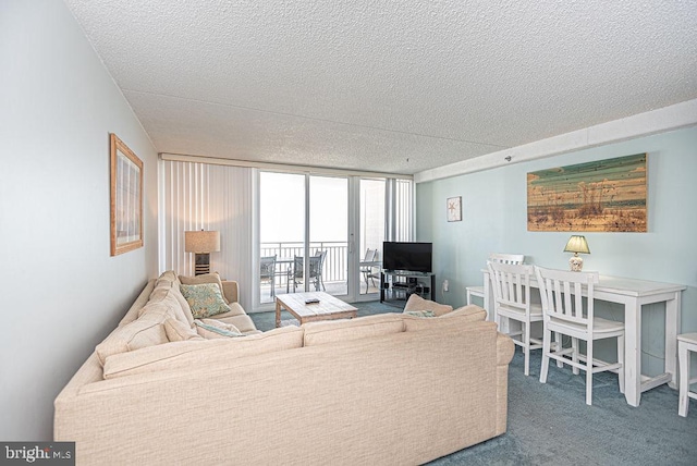 carpeted living room with a textured ceiling