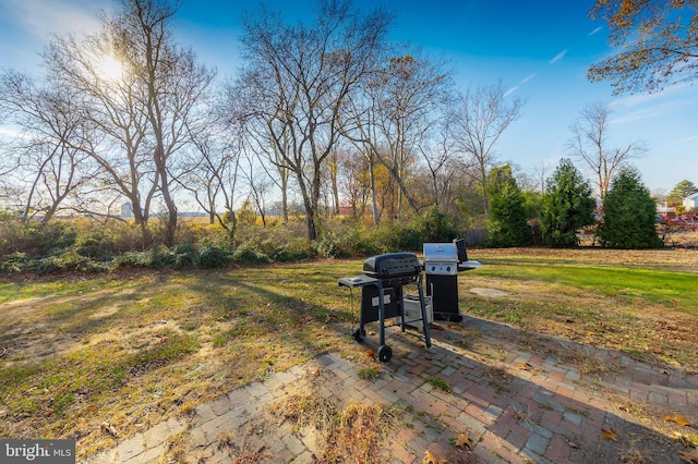 view of yard featuring a patio