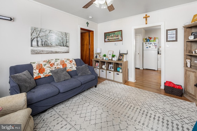 living room with wood-type flooring, ceiling fan, and ornamental molding