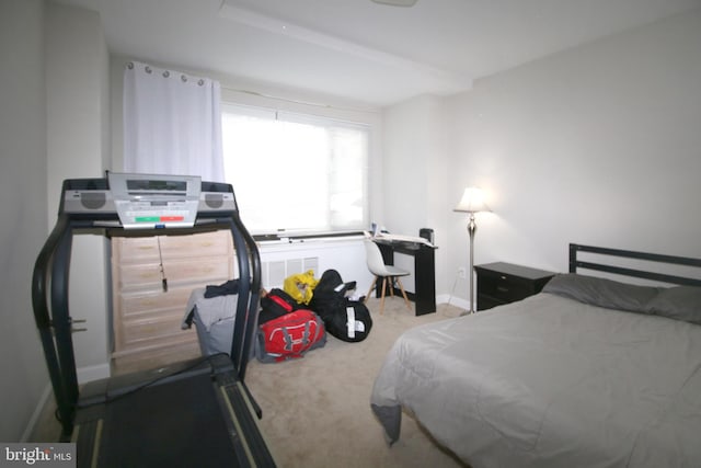 bedroom with carpet floors