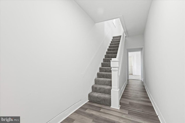 stairway featuring wood-type flooring