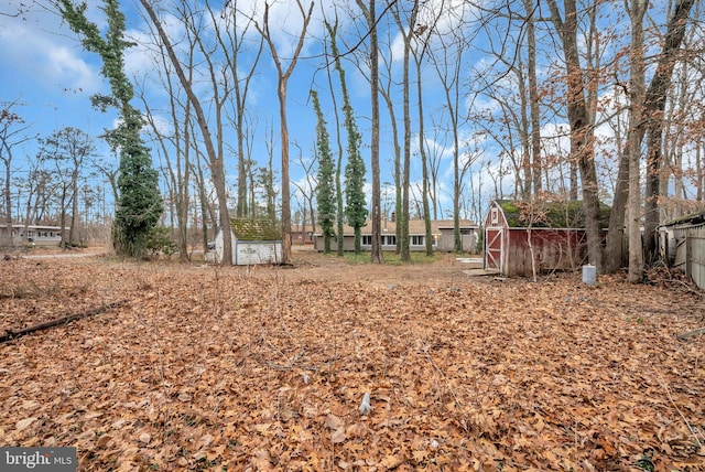 view of yard featuring a storage shed