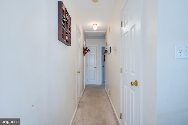 hallway with light carpet