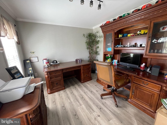 office space with light hardwood / wood-style floors and ornamental molding