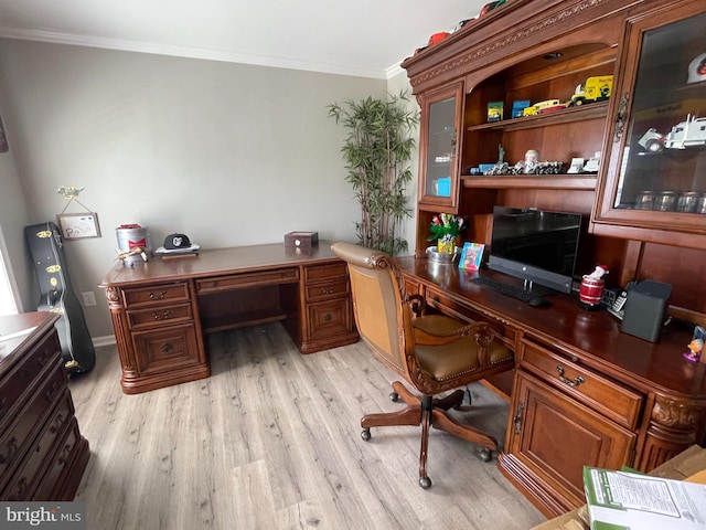 office with light hardwood / wood-style flooring and crown molding