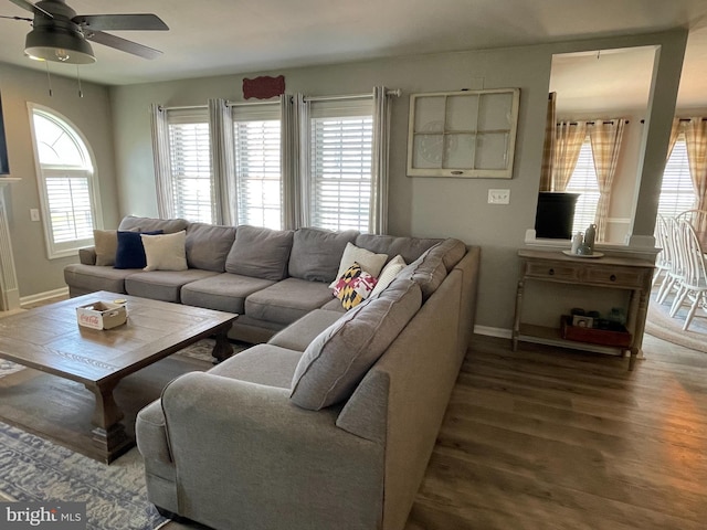 living room with a wealth of natural light, ceiling fan, and wood-type flooring