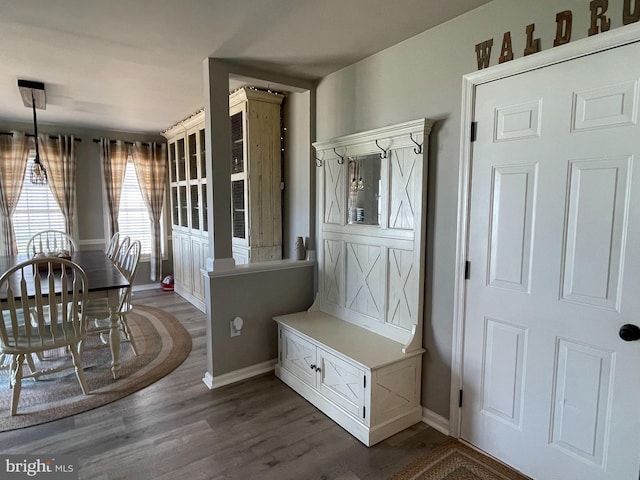 mudroom featuring dark wood-type flooring