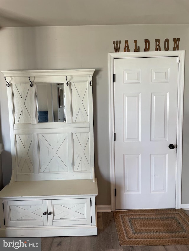 mudroom featuring dark hardwood / wood-style floors