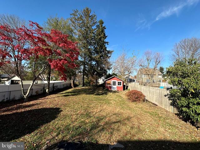 view of yard with a storage unit