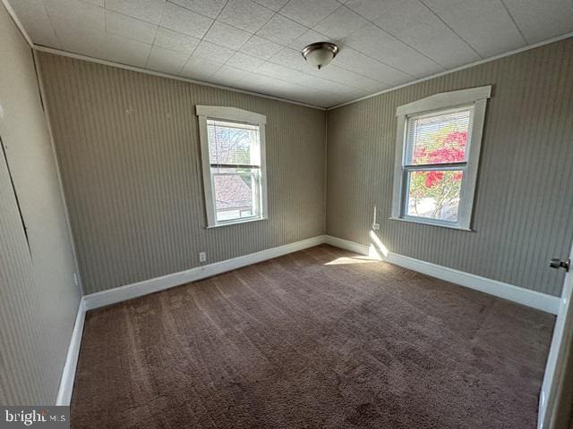 spare room featuring carpet floors