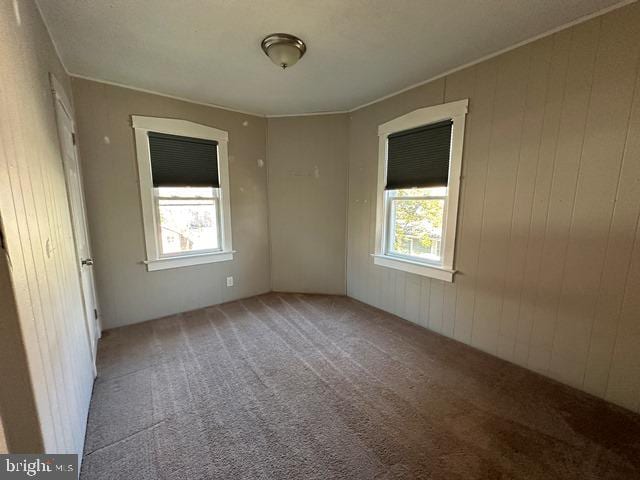 carpeted spare room featuring wooden walls