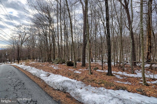 LOT28 Eagle Path, Bushkill PA, 18324 land for sale