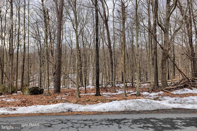 LOT28 Eagle Path, Bushkill, PA 18324