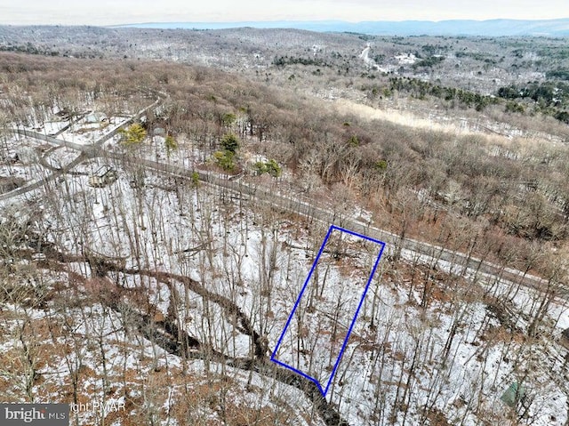 LOT28 Eagle Path, Bushkill, PA 18324