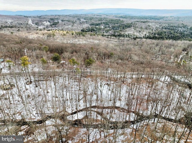 LOT28 Eagle Path, Bushkill, PA 18324